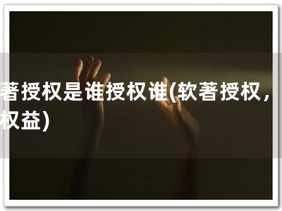 软著授权是谁授权谁(软著授权，保障权益)
