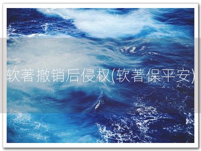 软著撤销后侵权(软著保平安)