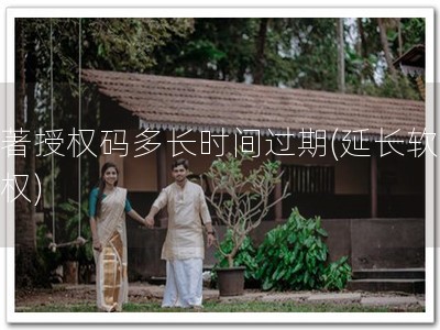 软著授权码多长时间过期(延长软著授权)