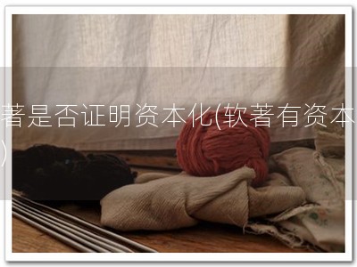 软著是否证明资本化(软著有资本价值)