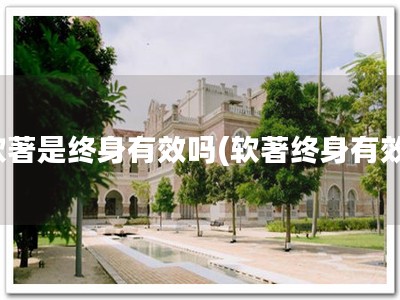 软著是终身有效吗(软著终身有效)
