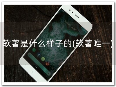 软著是什么样子的(软著唯一)
