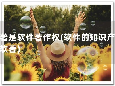 软著是软件著作权(软件的知识产权：软著)