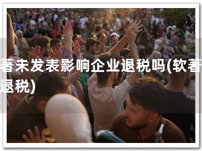 软著未发表影响企业退税吗(软著保障退税)