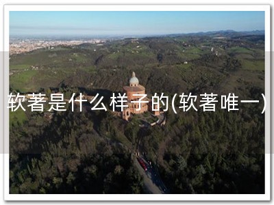 软著是什么样子的(软著唯一)