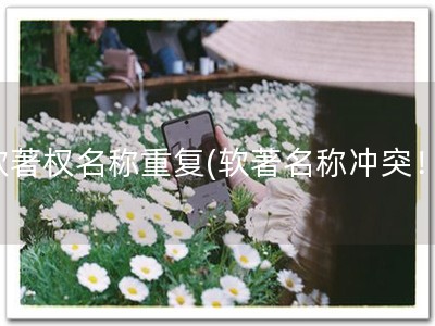 软著权名称重复(软著名称冲突！)