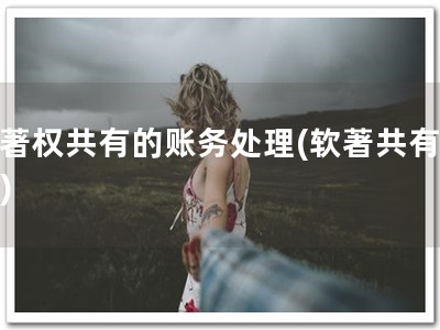 软著权共有的账务处理(软著共有账务)