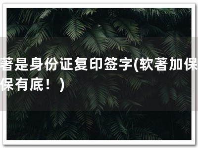 软著是身份证复印签字(软著加保，有保有底！)