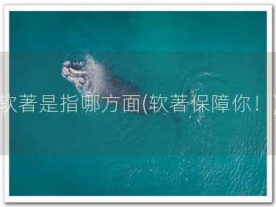 软著是指哪方面(软著保障你！)