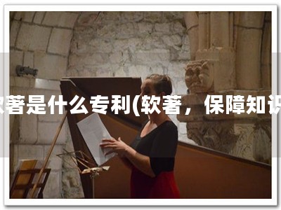 软著是什么专利(软著，保障知识)