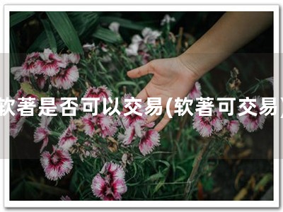 软著是否可以交易(软著可交易)