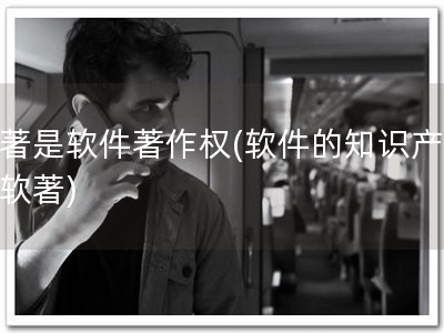 软著是软件著作权(软件的知识产权：软著)