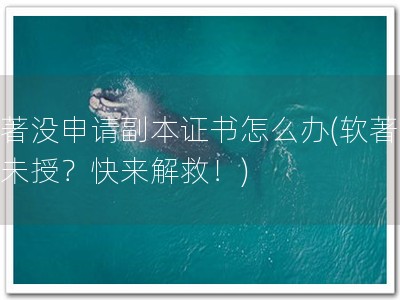 软著没申请副本证书怎么办(软著悬而未授？快来解救！)