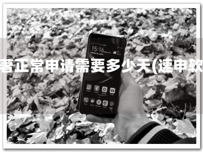 软著正常申请需要多少天(速申软著)