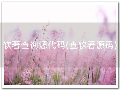 软著查询源代码(查软著源码)