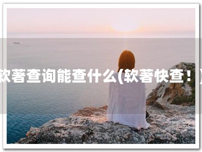 软著查询能查什么(软著快查！)