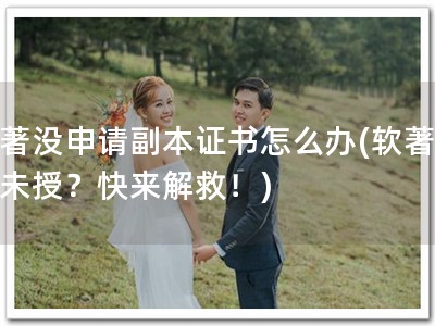 软著没申请副本证书怎么办(软著悬而未授？快来解救！)