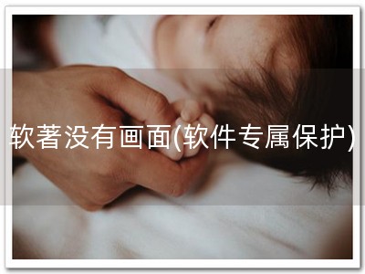 软著没有画面(软件专属保护)