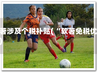 软著涉及个税补贴(“软著免税优惠”)