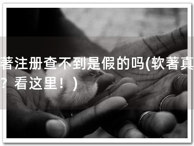 软著注册查不到是假的吗(软著真实性？看这里！)