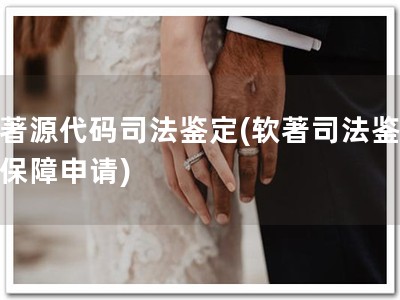 软著源代码司法鉴定(软著司法鉴定，保障申请)