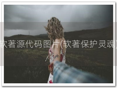 软著源代码图片(软著保护灵魂)