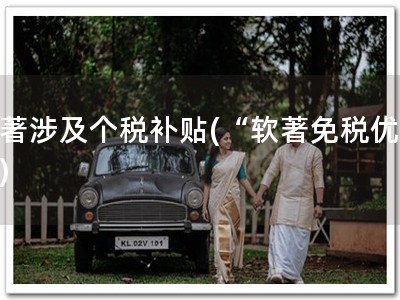 软著涉及个税补贴(“软著免税优惠”)