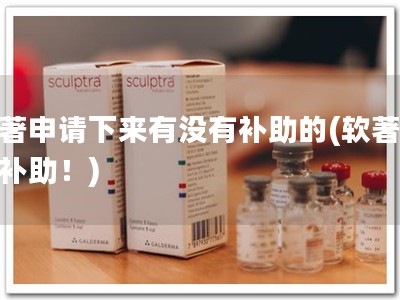 软著申请下来有没有补助的(软著申请补助！)