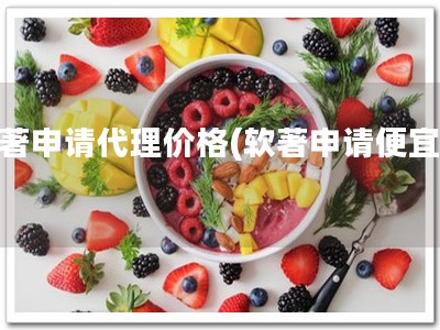 软著申请代理价格(软著申请便宜！)