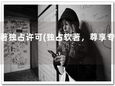 软著独占许可(独占软著，尊享专利)