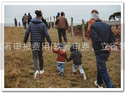 软著申报费用(软著申费，立省钱)