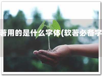 软著用的是什么字体(软著必备字体)