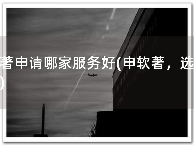 软著申请哪家服务好(申软著，选谁？)
