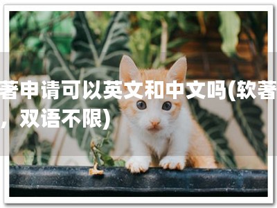 软著申请可以英文和中文吗(软著申请，双语不限)