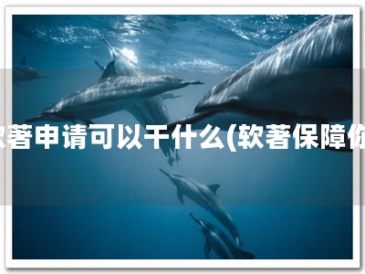 软著申请可以干什么(软著保障你)