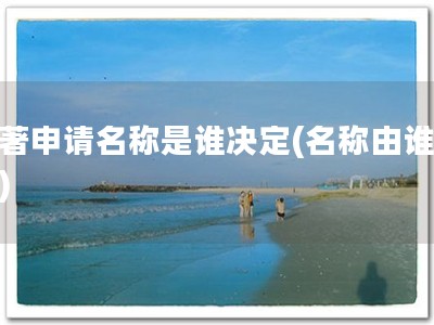 软著申请名称是谁决定(名称由谁定？)