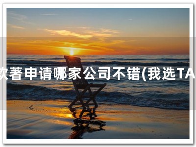 软著申请哪家公司不错(我选TA)