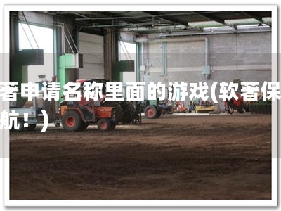 软著申请名称里面的游戏(软著保驾护航！)