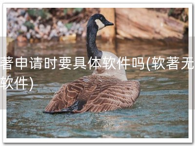 软著申请时要具体软件吗(软著无具体软件)