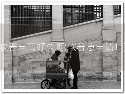 软著申请好久啊(软著急申请！)