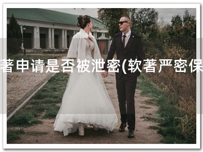 软著申请是否被泄密(软著严密保密)