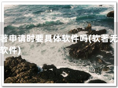 软著申请时要具体软件吗(软著无具体软件)