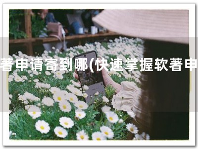 软著申请寄到哪(快速掌握软著申请！