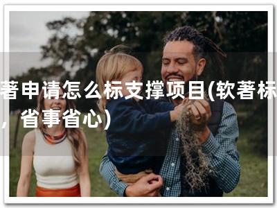 软著申请怎么标支撑项目(软著标支撑，省事省心)