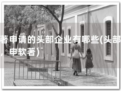 软著申请的头部企业有哪些(头部企业，申软著)