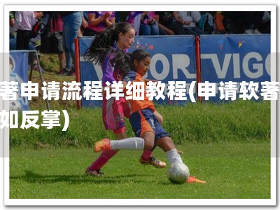 软著申请流程详细教程(申请软著，易如反掌)