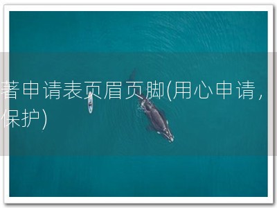 软著申请表页眉页脚(用心申请，安心保护)