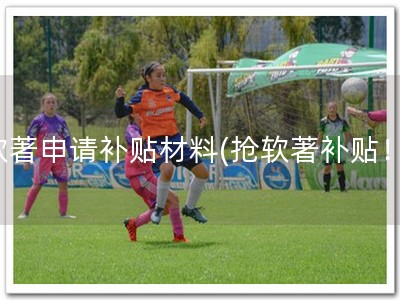 软著申请补贴材料(抢软著补贴！)