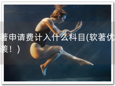 软著申请费计入什么科目(软著优惠来袭！)