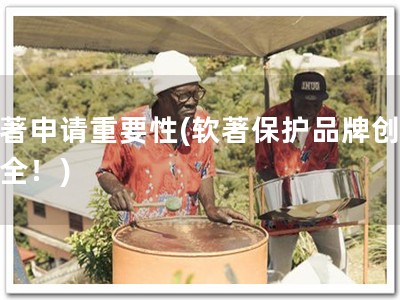 软著申请重要性(软著保护品牌创意安全！)